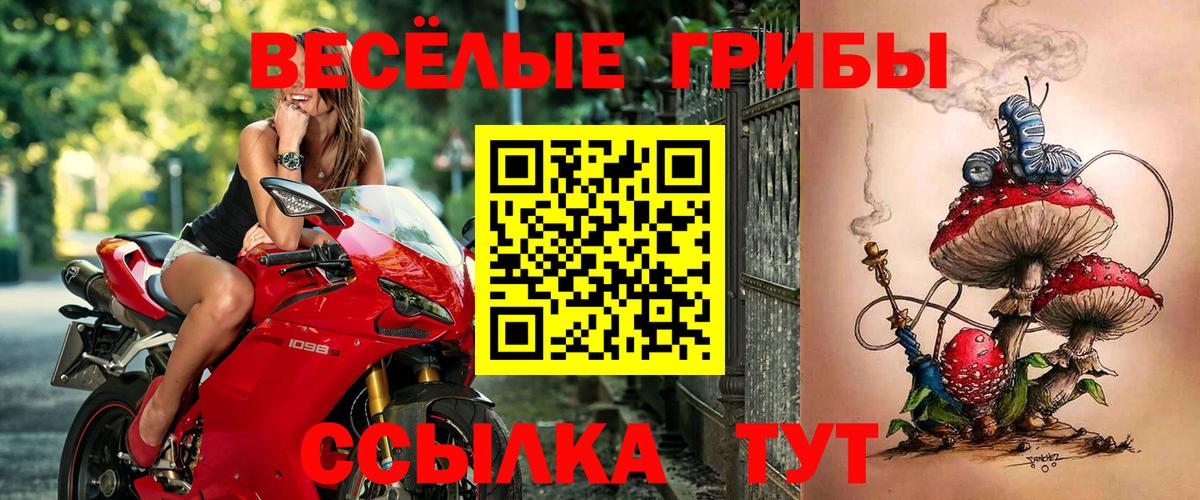Галлюциногенные грибы мухоморы Ухта