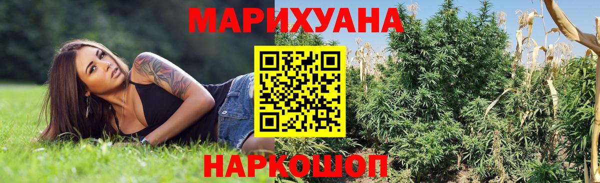 Конопля Amnesia  Шишки марихуана план  Ухта  Вход с VPN  Конопля Ganja 